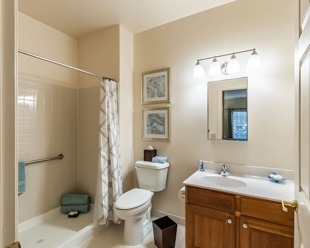 A well-organized bathroom featuring a shower, toilet, sink with cabinet, and decorative elements.