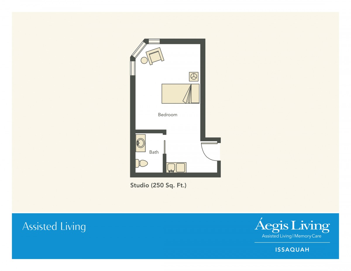 A floor plan showing the layout of a studio apartment with designated living and bathroom areas.