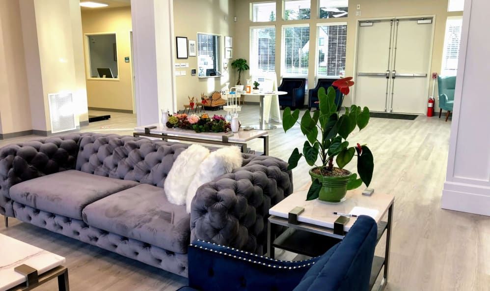 A modern living room with cozy sofas, a coffee table, and vibrant indoor plants.