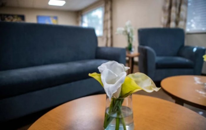 A cozy living room setting with a flower in a vase on a wooden table, complemented by blue sofas.