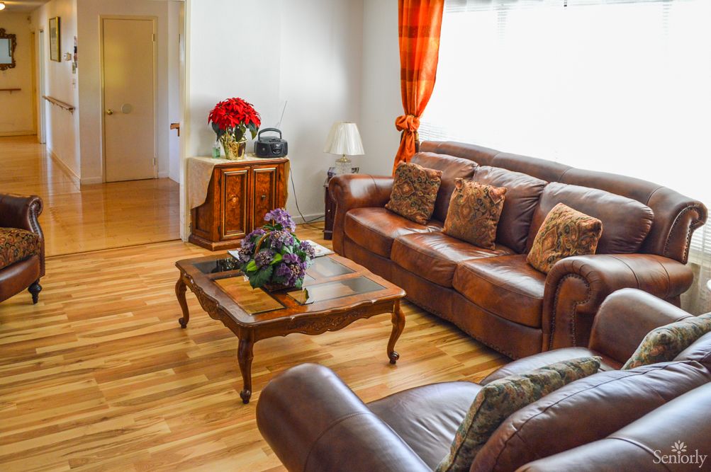 A cozy living room with a leather sofa and wooden coffee table, adorned with decorative plants and curtains.