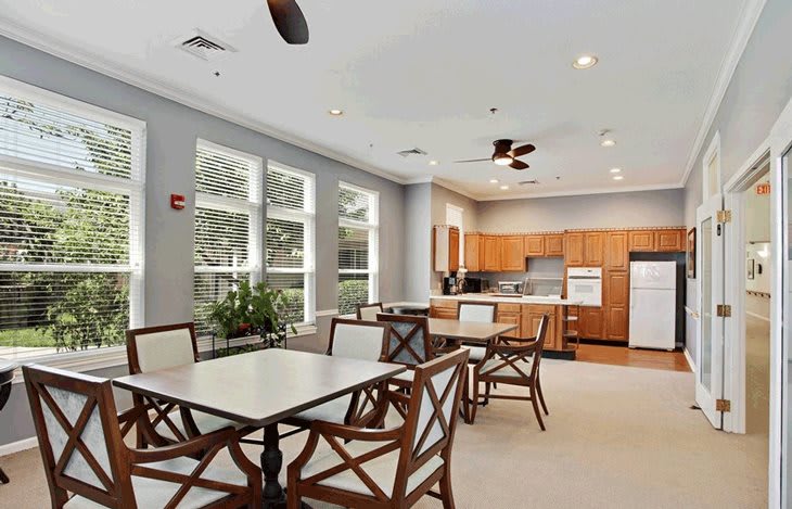 A modern kitchen and dining area with ample natural light, featuring contemporary furniture and indoor plants.