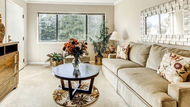 A cozy living room with a sofa, coffee table, and plants by the window.