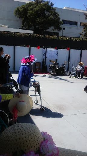 A vibrant outdoor performance featuring senior citizens enjoying music, with one attendee wearing a colorful hat.