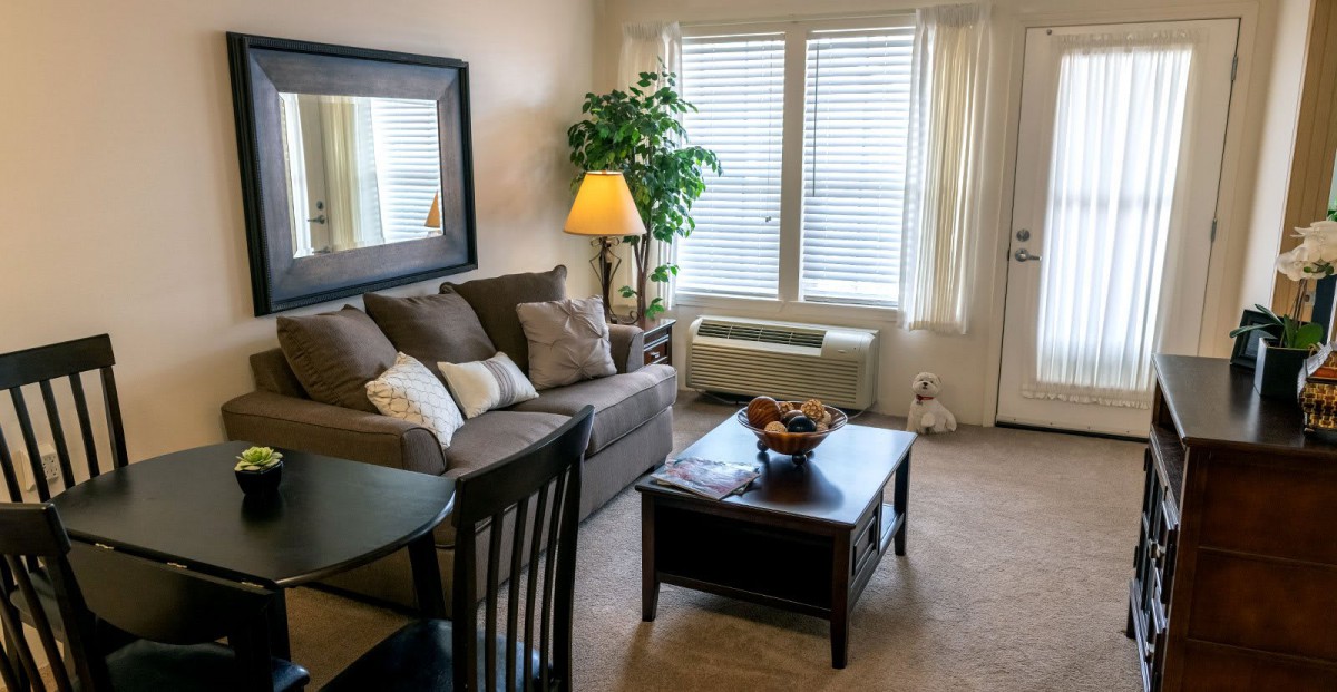 A cozy living room with a sofa, coffee table, lamp, and indoor plant by the window.