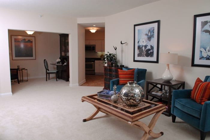 A modern and cozy living room featuring stylish furniture and decor.