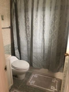 A bathroom with a toilet and a shower curtain in front of the bathtub, featuring a decorative rug on the floor.