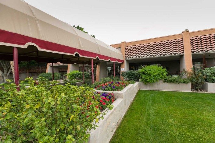 An outdoor garden area with a canopy and adjacent building, showcasing lush greenery.
