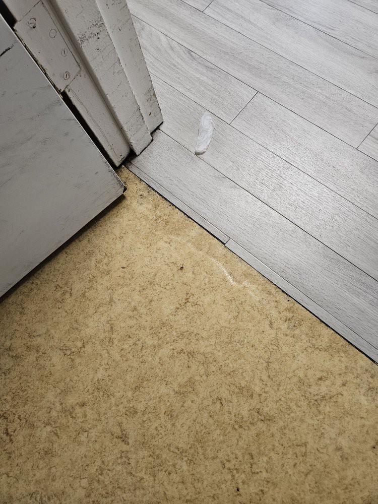 A doorway showing a transition between carpet and linoleum flooring.