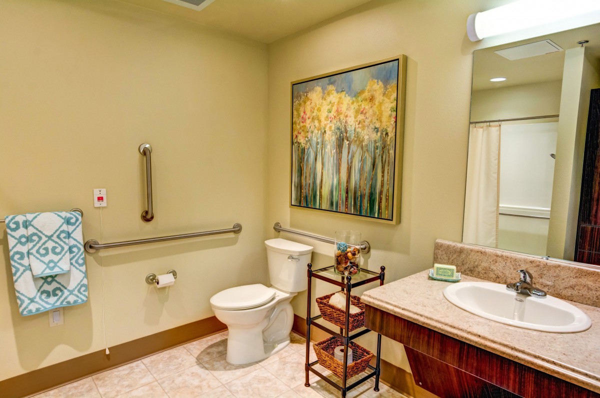 A well-lit bathroom with a toilet, sink, and artwork on the wall. It includes accessible features such as handrails.