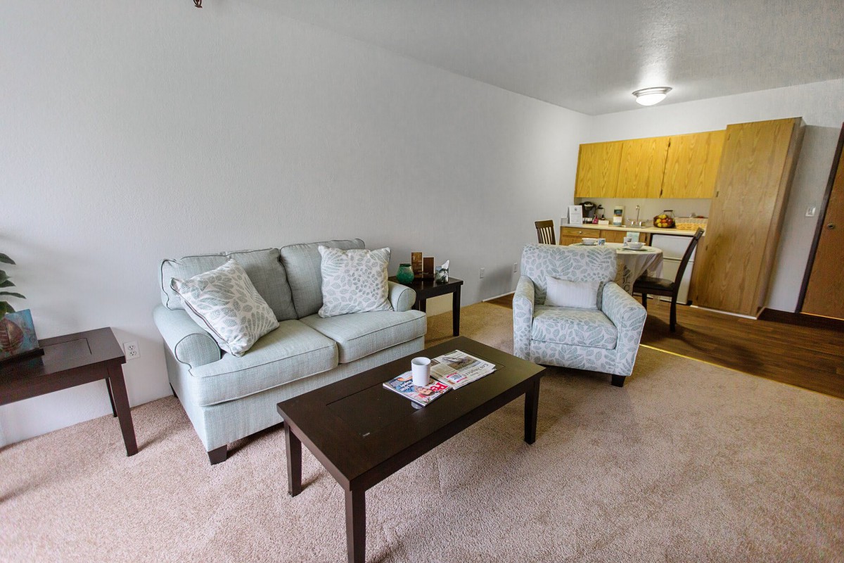 A cozy living room with a sofa, armchair, and coffee table, seamlessly connected to a kitchen area.