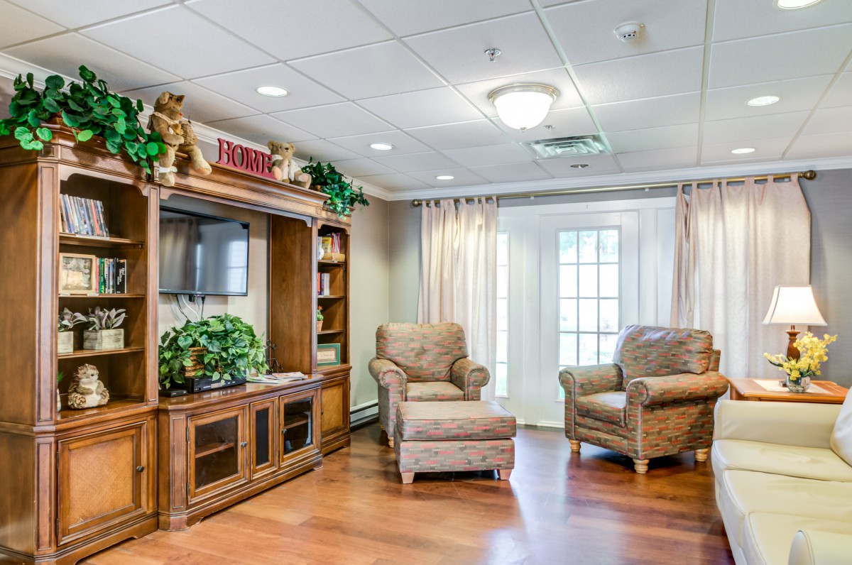 A cozy living room with an entertainment center, two armchairs, and decorative plants on a wood floor.