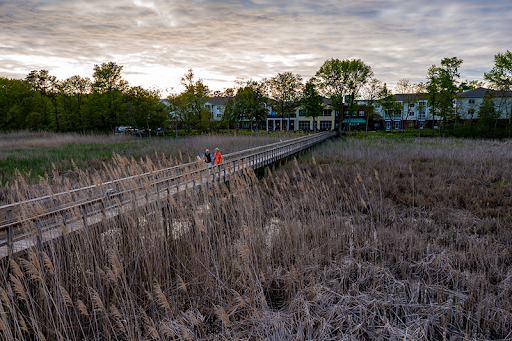 A serene boardwalk pathway through a marsh at sunset, inviting peaceful strolls amidst nature.