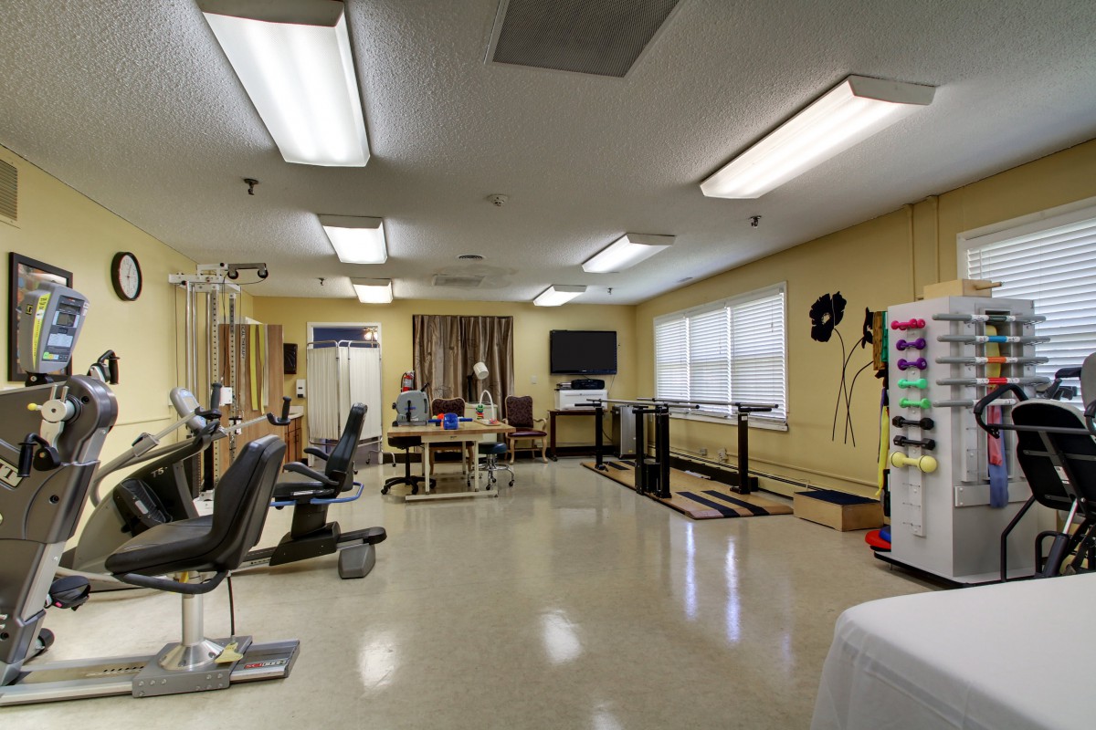 An interior view of a salon with chairs and mirrors.
