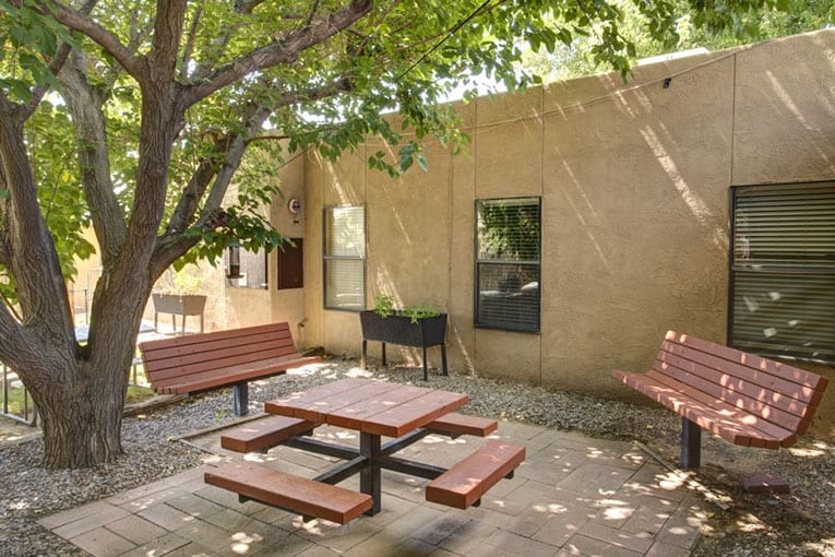 A tranquil courtyard with a picnic table and benches shaded by a large tree.