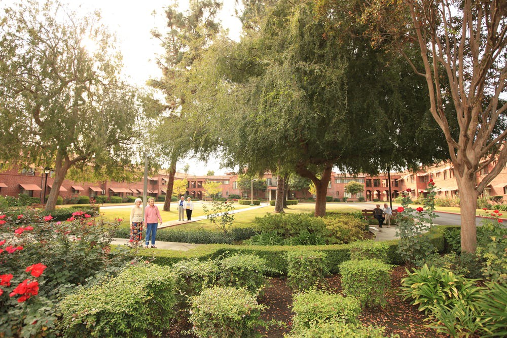 A tranquil park setting with trees and bushes, where people are enjoying a walk along the pathway.