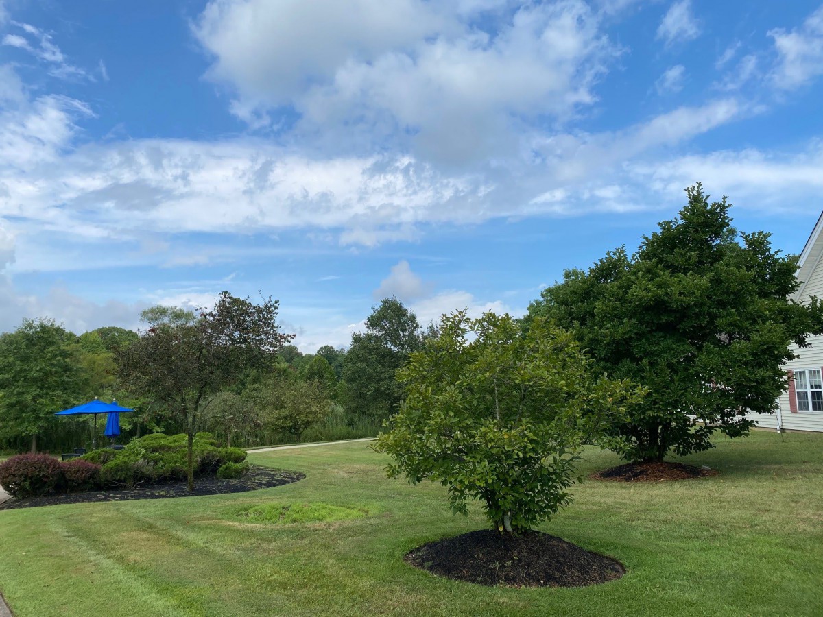 Tylers Mill Senior Living
