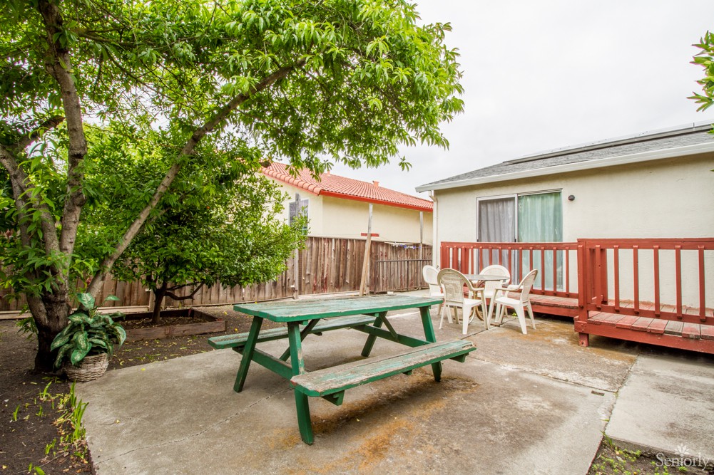 A cozy outdoor patio with a picnic table, chairs, and a tree providing shade.