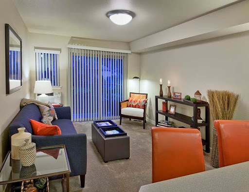 A contemporary living room featuring a cozy sofa, stylish chairs, and modern decor.