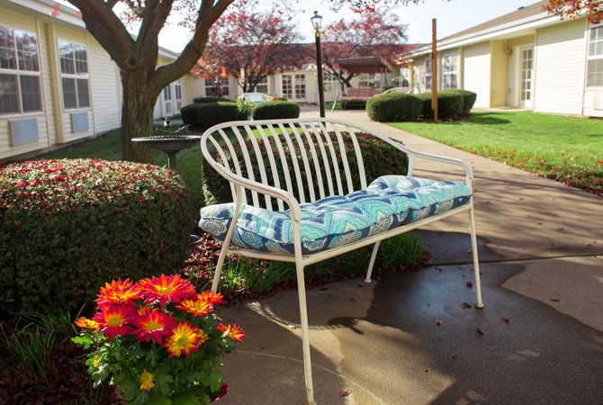 A cozy outdoor bench with colorful cushions sits in a sunlit garden, surrounded by vibrant flowers and well-trimmed bushes.