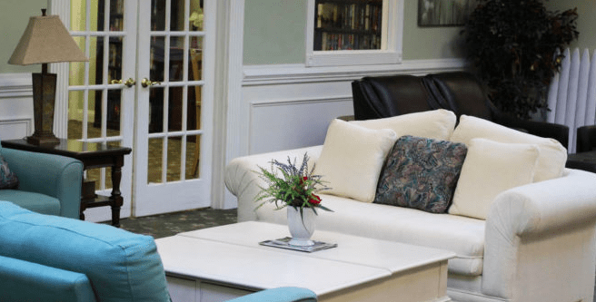 A cozy living room with a sofa, coffee table, and decorative plant.
