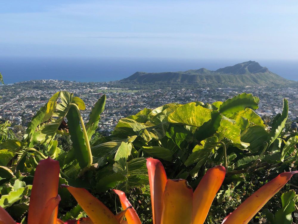 A scenic view of a coastal landscape with lush green vegetation and mountains in the background.