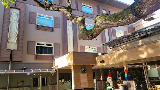 A festive scene featuring a tree in front of a modern building adorned with Christmas decorations.