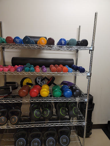 A well-organized shelf displaying various fitness equipment including weights and medicine balls.