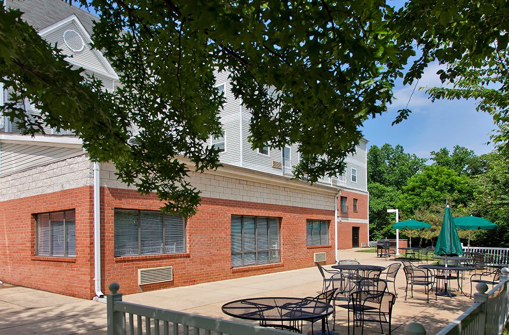 An outdoor patio with tables and chairs next to a brick building under a tree on a sunny day.