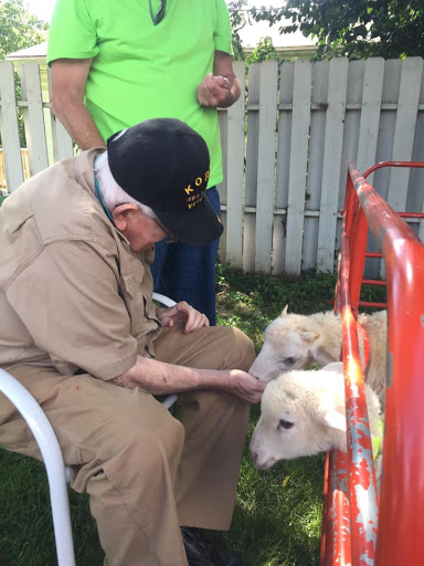 An elderly man gently interacts with two dogs in a sunny outdoor setting.