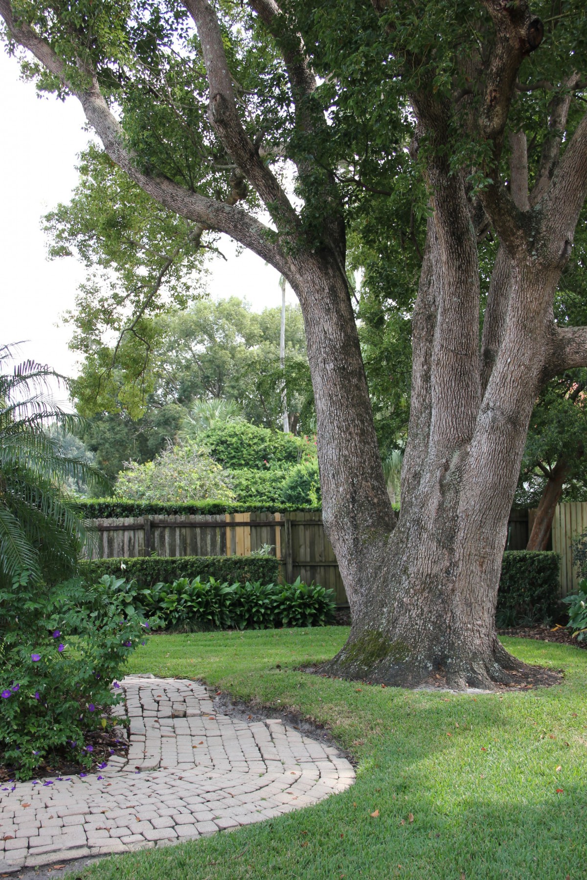 Bridgeport Senior Living - Port Cardiff
