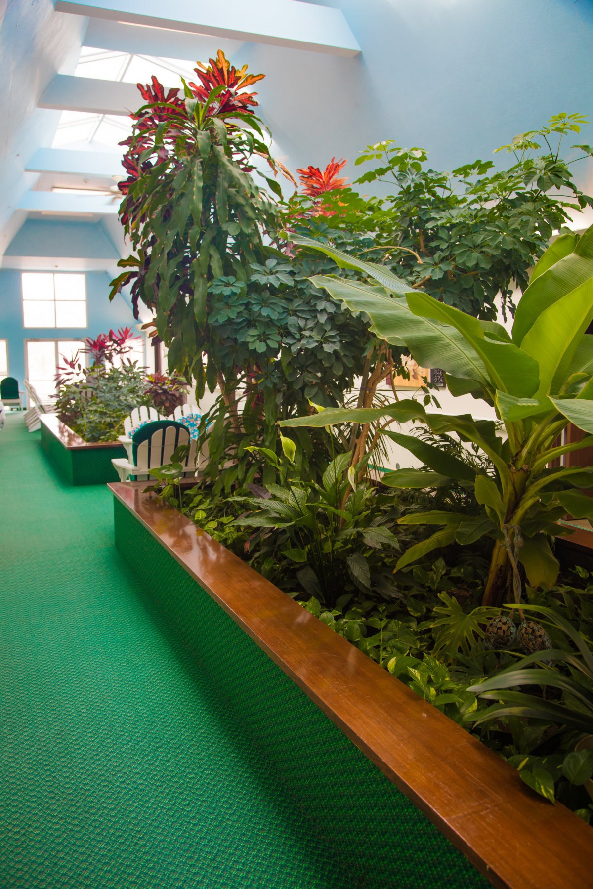A lush indoor garden filled with various tropical plants, bathed in natural light.