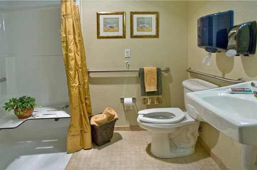 A neatly arranged bathroom featuring a toilet, sink, and shower area with decorative elements.