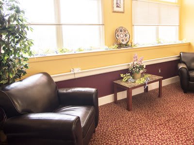 A cozy waiting room with an armchair and a coffee table adorned with flowers, under large windows with blinds.