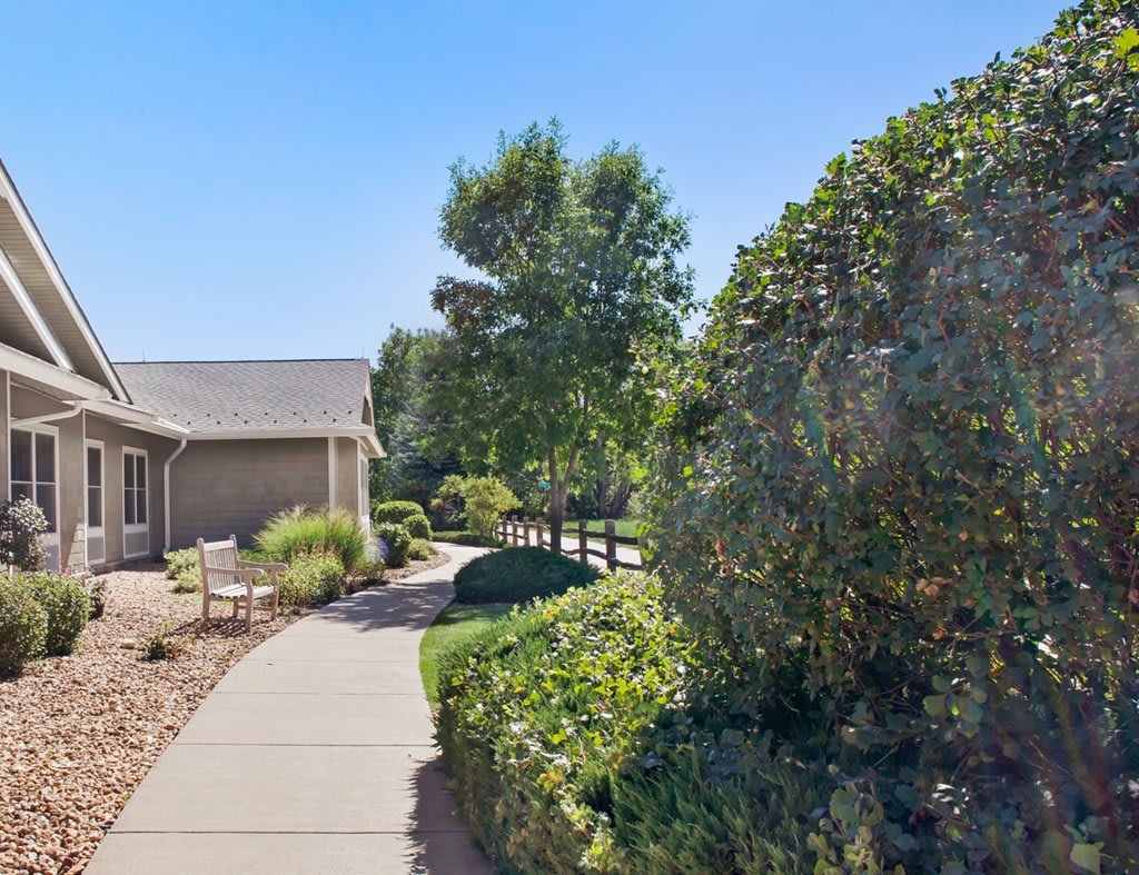 A house with a pathway surrounded by trees and bushes under a clear blue sky.
