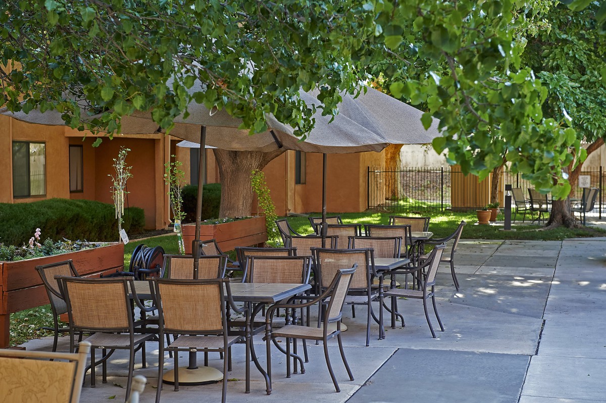 Outdoor patio area with tables and chairs under a tree canopy.