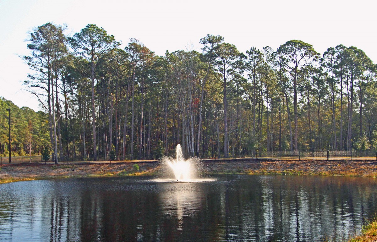 A serene lake with a fountain surrounded by tall trees.