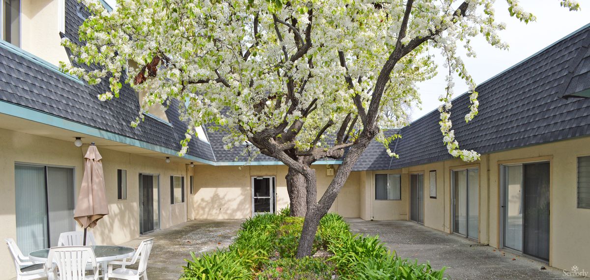 A picturesque courtyard featuring a blossoming tree surrounded by a building.