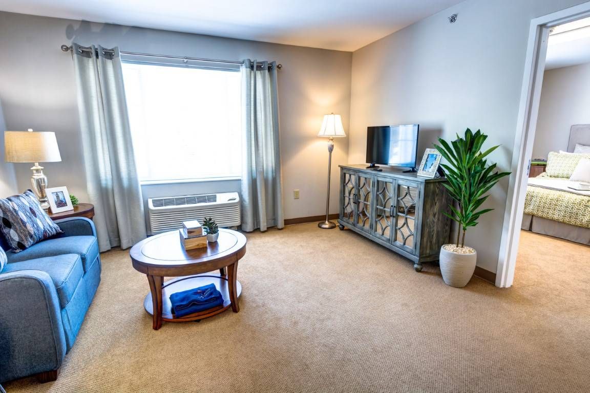 A cozy living room with a television, coffee table, and a potted plant.