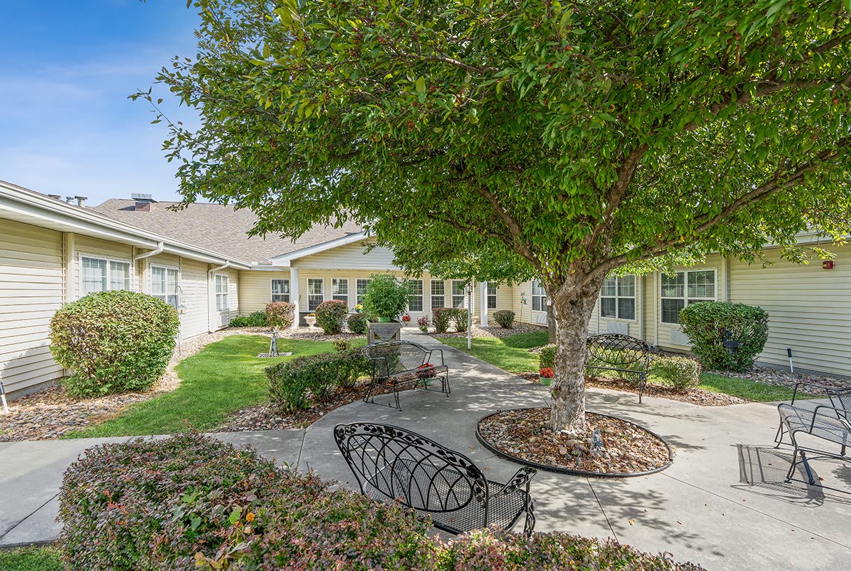 A peaceful residential garden with a bench and pathways surrounded by trees and shrubs.