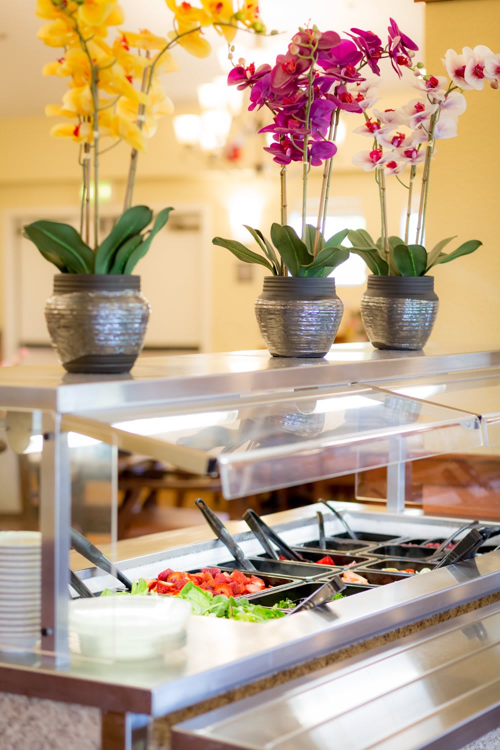 A salad bar with fresh vegetables and decorative orchid plants above it.