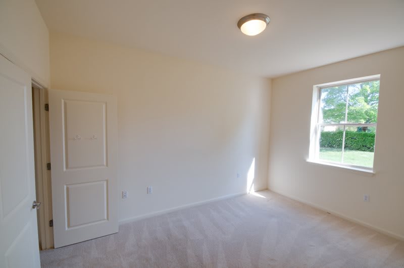 A bright, empty room with a carpeted floor and natural light coming through a window.