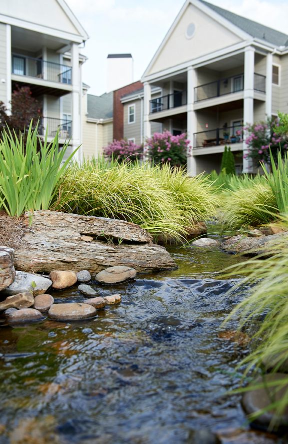 A landscaped pond with rocks and plants in front of an apartment complex.