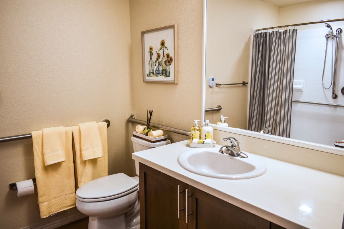 A tidy bathroom with a sink, mirror, and toiletries, featuring a toilet and shower area.