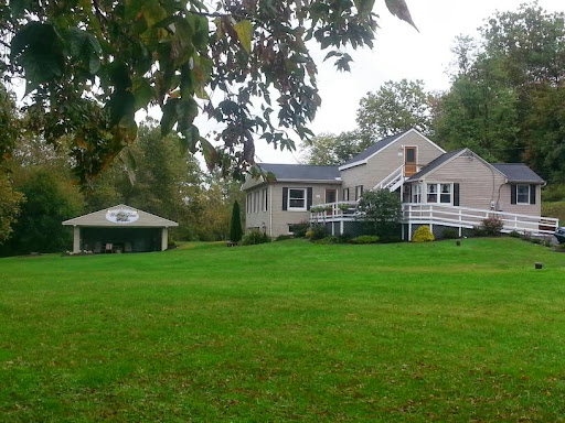 A serene suburban house surrounded by lush green grass and a nearby shed.