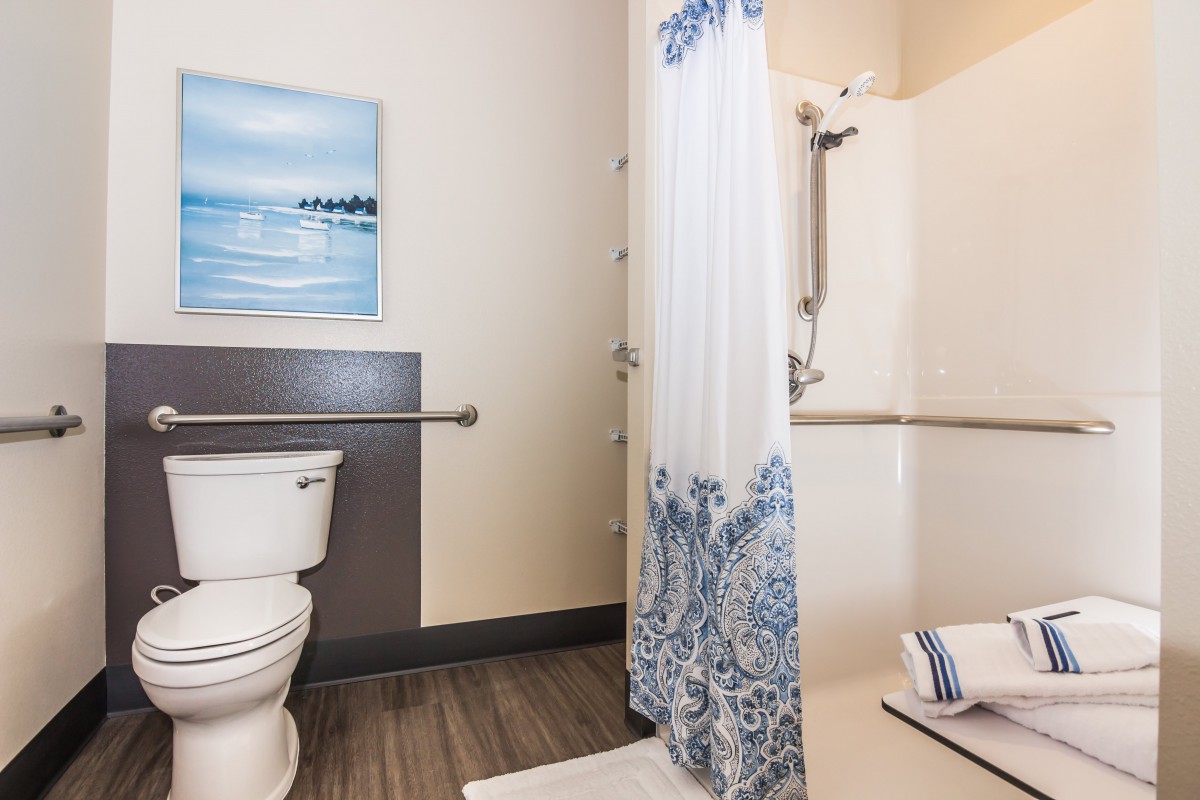A clean and modern bathroom with a shower, toilet, and decorative elements.
