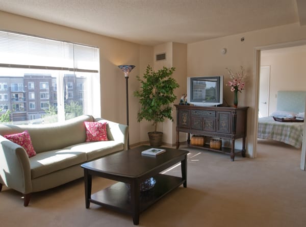 A cozy living room with a sofa, coffee table, TV, and large window providing natural light.