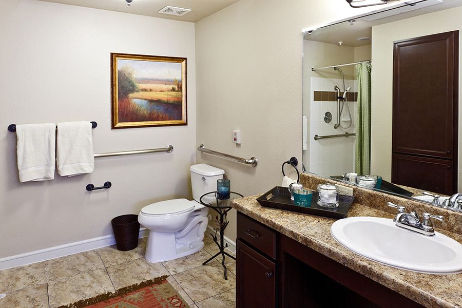 A well-appointed bathroom featuring a shower, toilet, and sink with modern amenities and safety handrails.