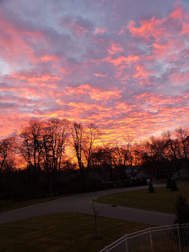 A breathtaking sunset paints the sky in vibrant hues, framed by silhouetted trees.