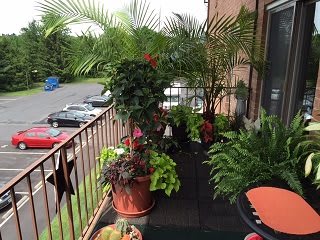 A lush balcony adorned with an array of potted plants and greenery.